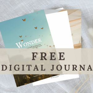Wonder | Invitations into Holy Imagination